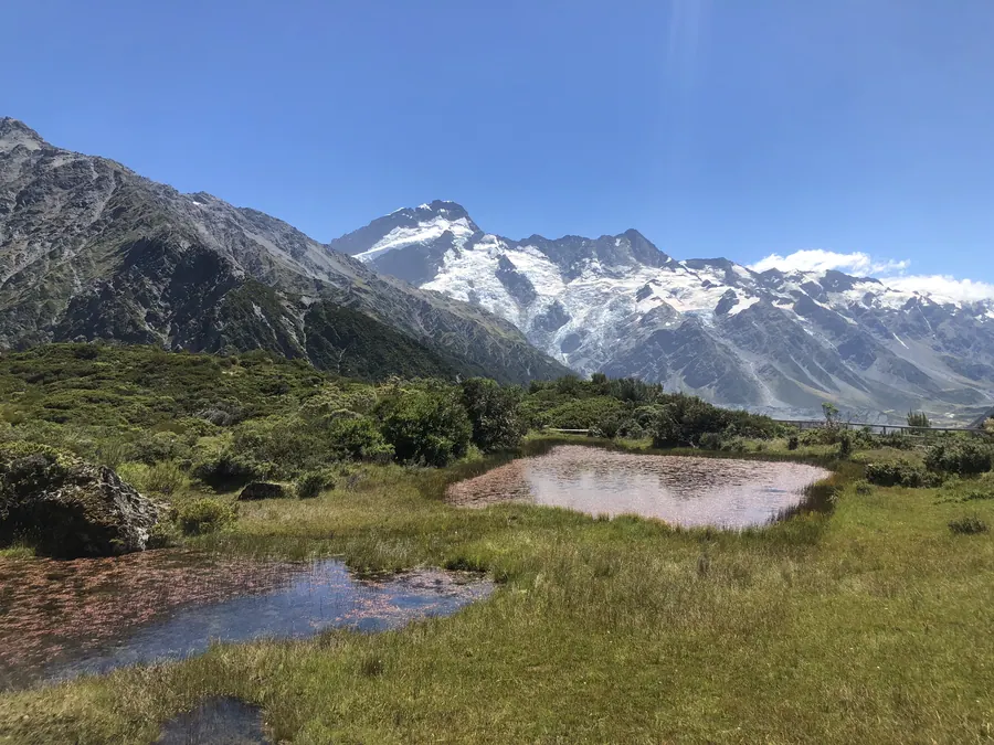La couleur rose du lac vient des bactéries présentes à l'intérieur